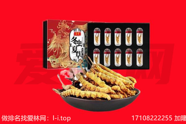 青岛即墨区回收虫草.jpg